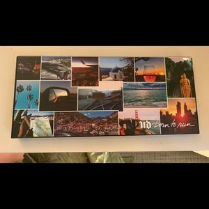 Urban Decay Born to Run Eyeshadow Palette